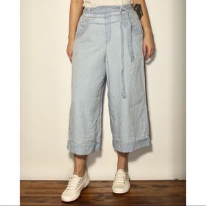AE Light Wash Wide Leg Pants